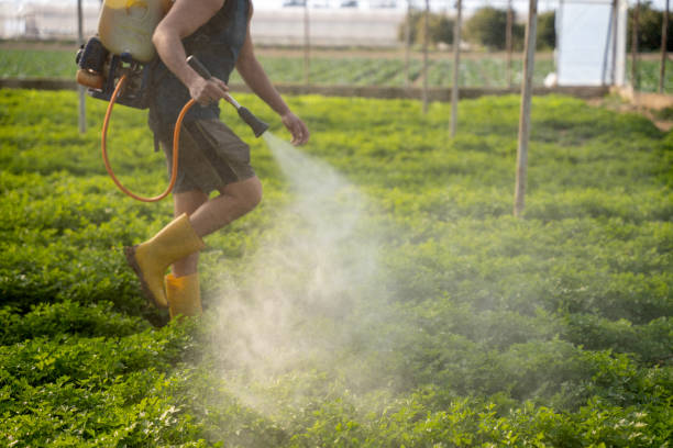 Best Residential Pest Control  in Yuipa, CA