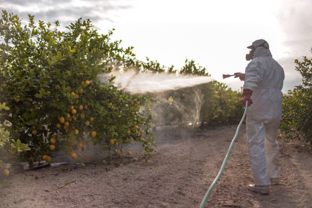  Yuipa, CA Pest Control Pros