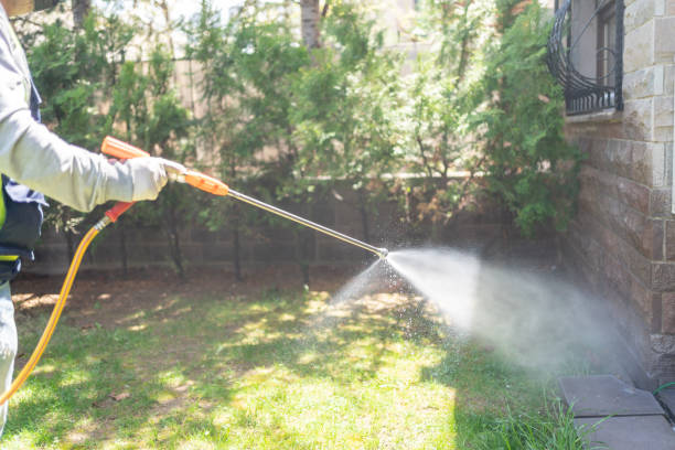 Best Pest Control for Homes  in Yuipa, CA