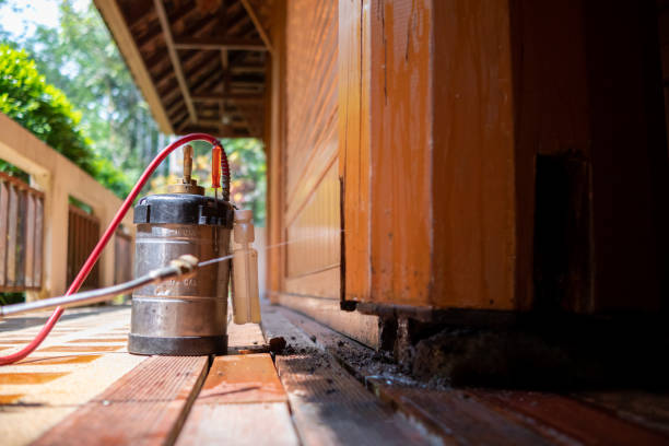 Best Pest Removal Services  in Yuipa, CA