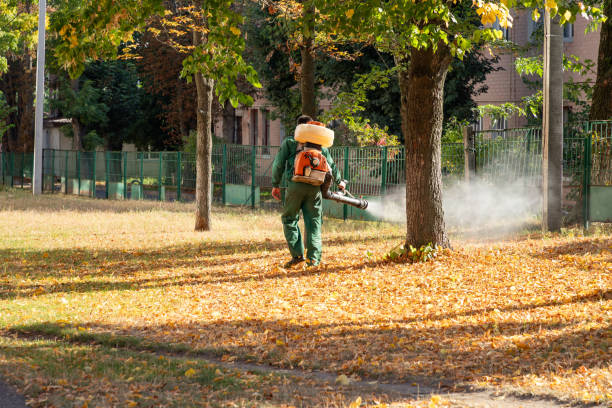 Best Pest Prevention Services  in Yuipa, CA