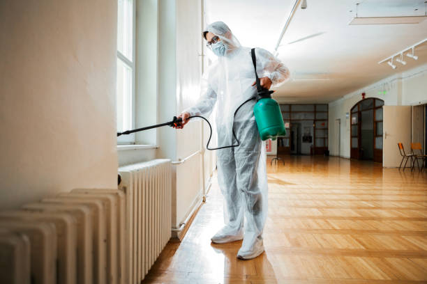 Best Pest Control Treatment  in Yuipa, CA