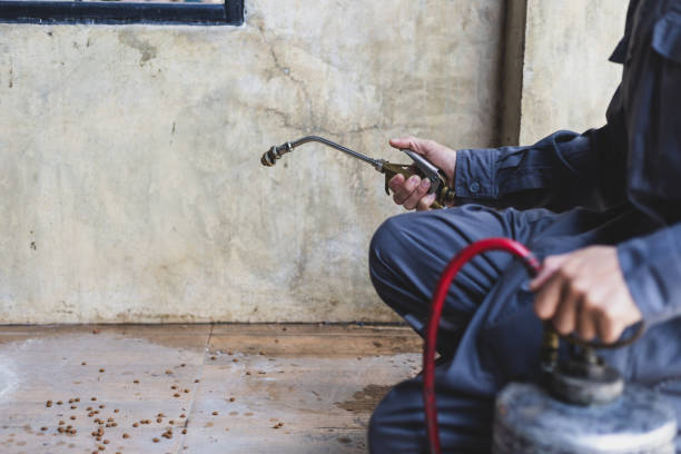 Best Pest Control for Restaurants  in Yuipa, CA